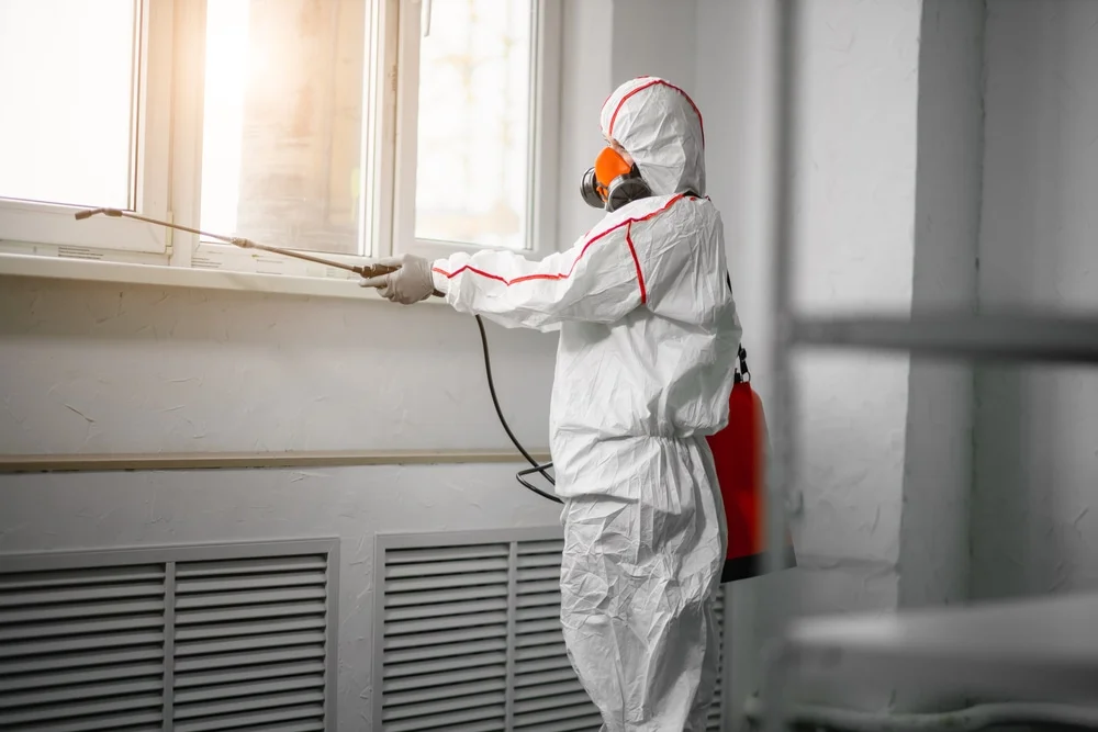 Professional mold remediation services in Shenandoah, VA